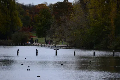 DSC_0558 (Large).JPG